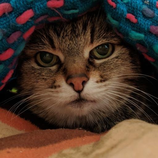 Аватар Artyom Yagilev