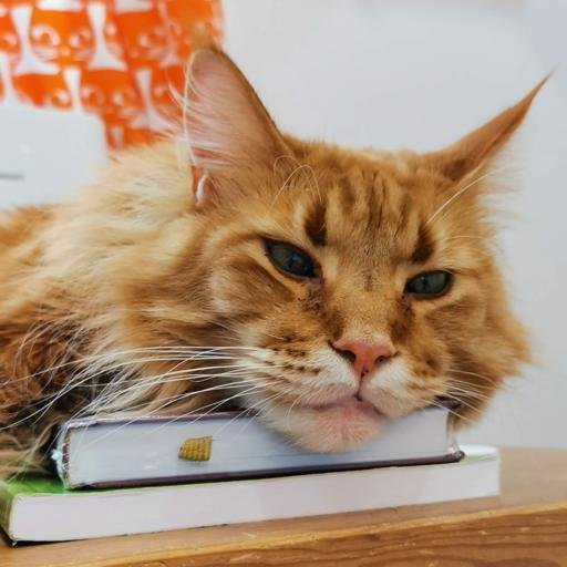 Аватар Наташа Акентьева