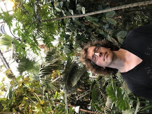 Аватар Максим Остроухов