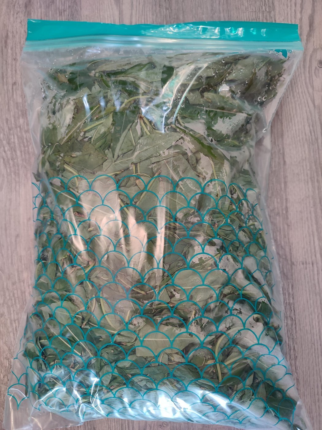 Как вариант, собираем листья и замораживем, но мне больше нравится чай из не замороженного сырья