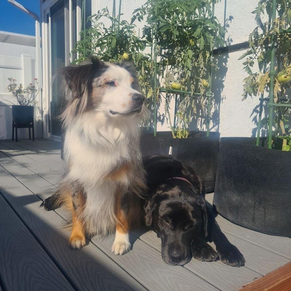 Хотите потискать таких булочек?