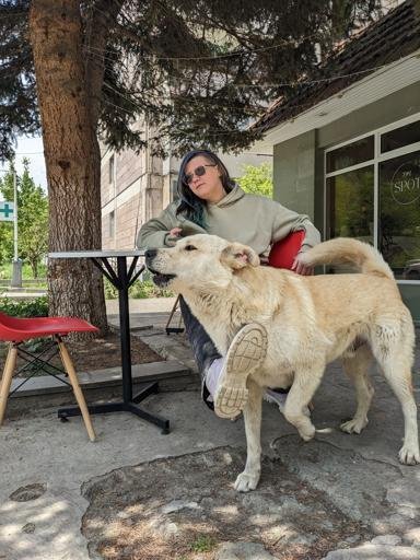 Аватар Саша Extropia