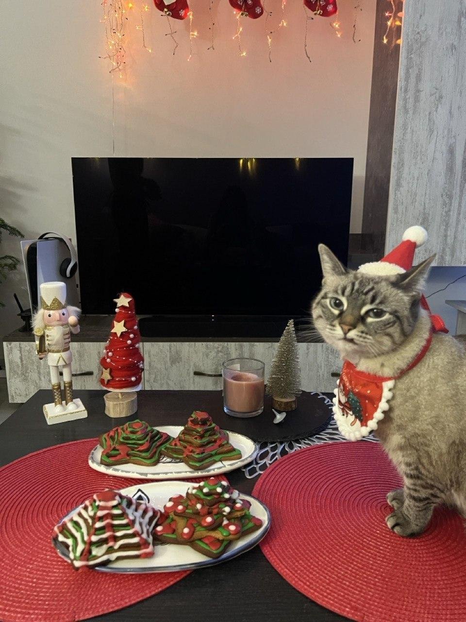 и это, по-твоему, елка?