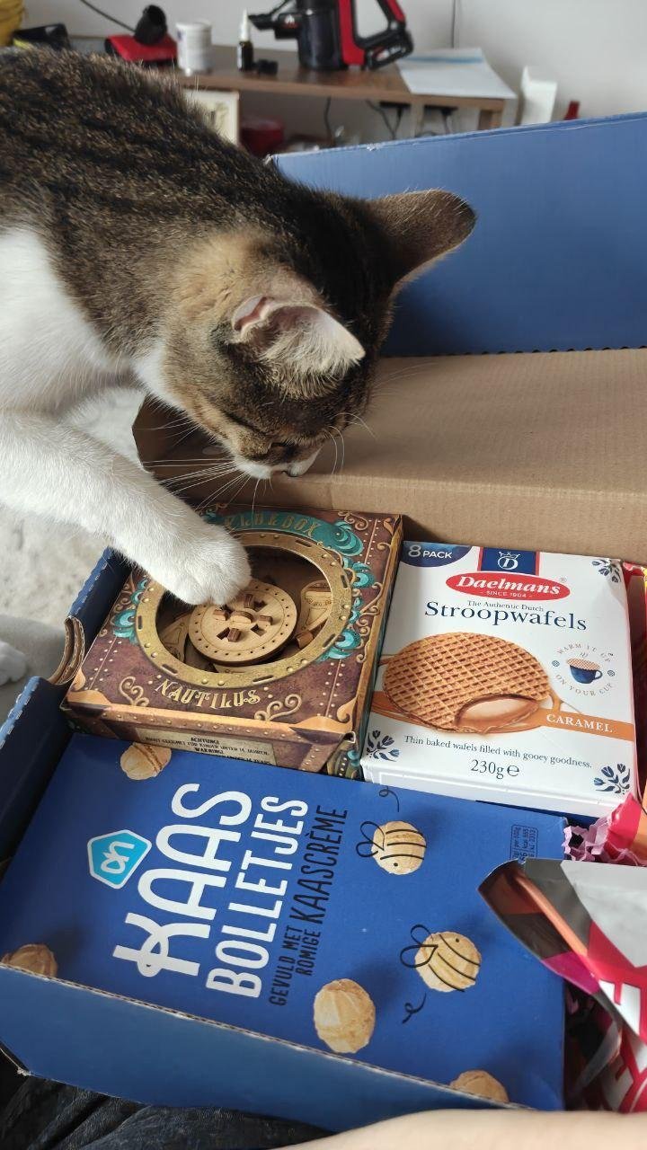 Проводится котоинспекция