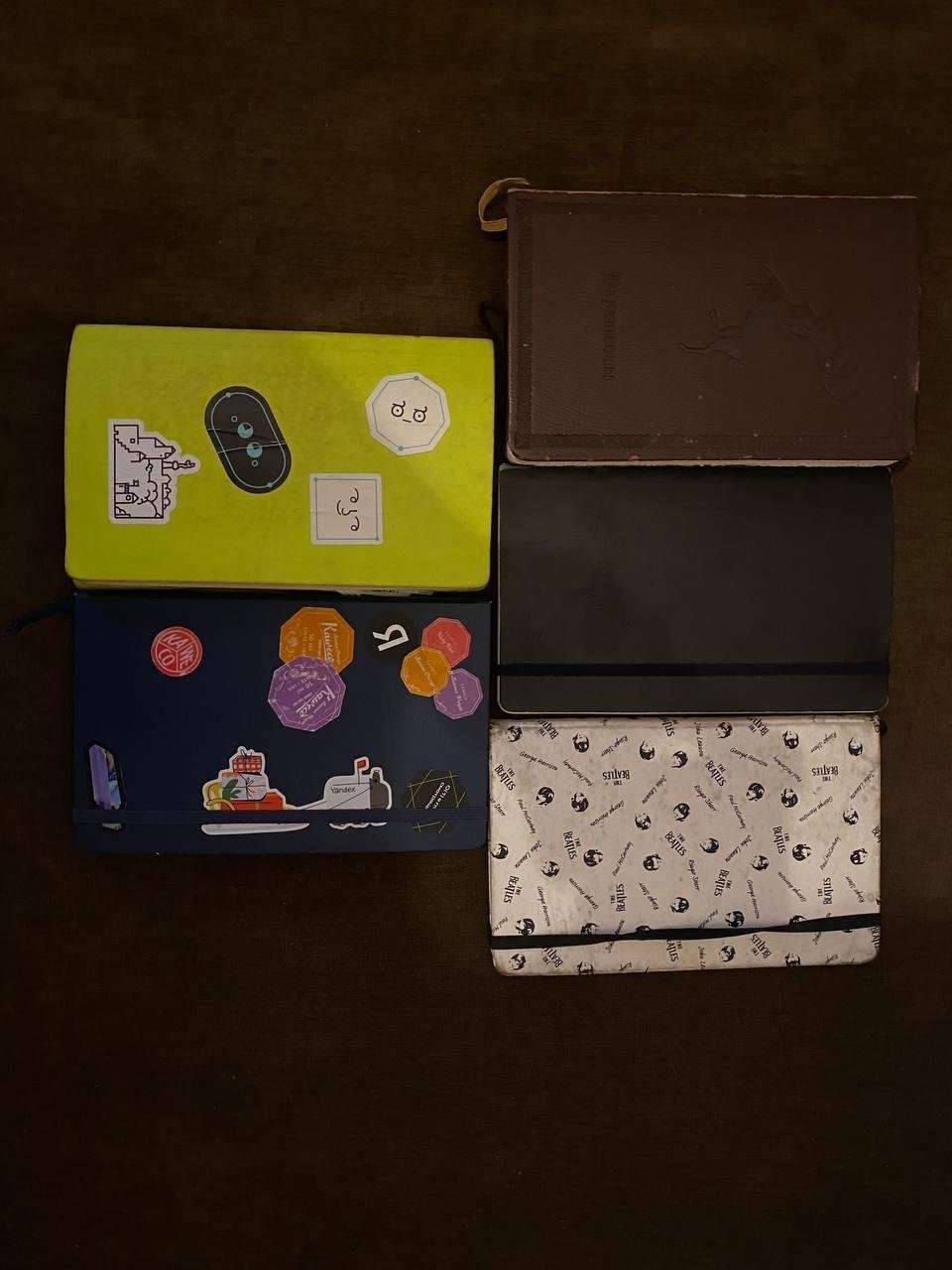 Сохранившиеся дневники; еще тетрадка была в украденной сумке, а электронный дневник на потерянном нетбуке