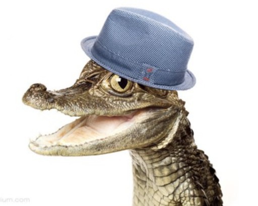 Аватар Galina Ryzhenko