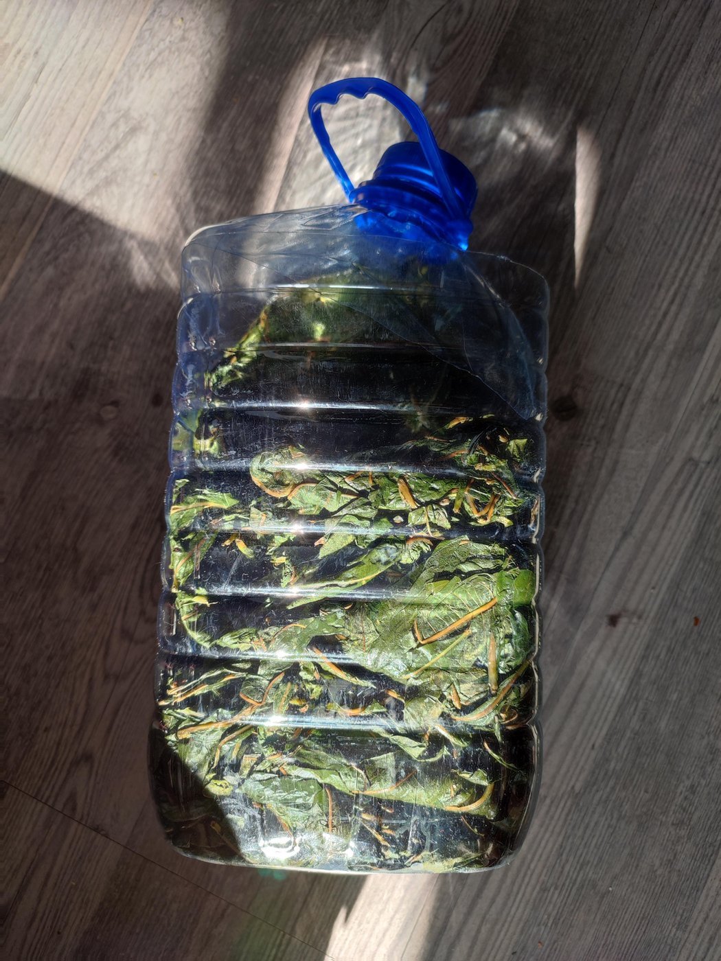 День первый