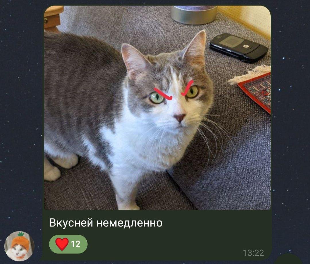 Вся суть кошьковых