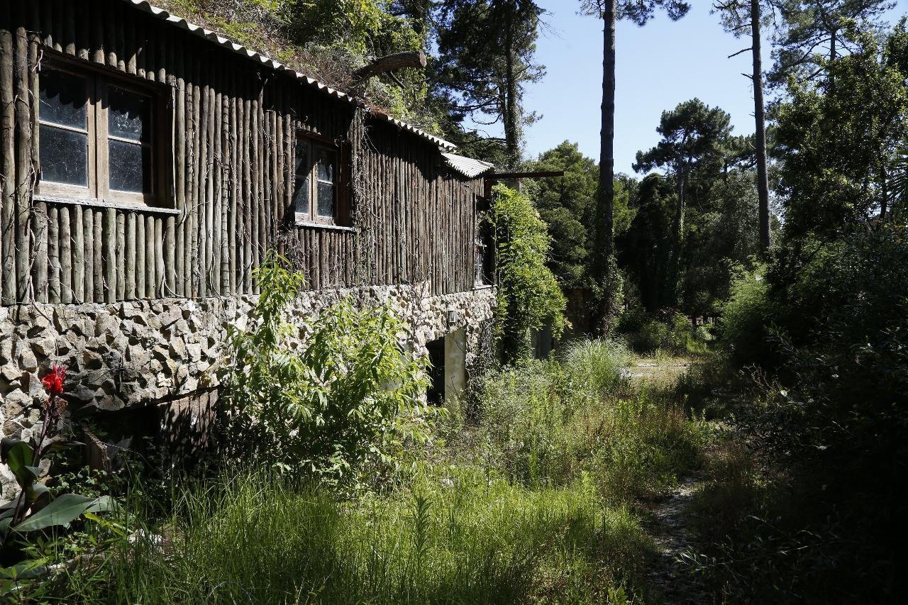 И раньше имело окна (2019 год)