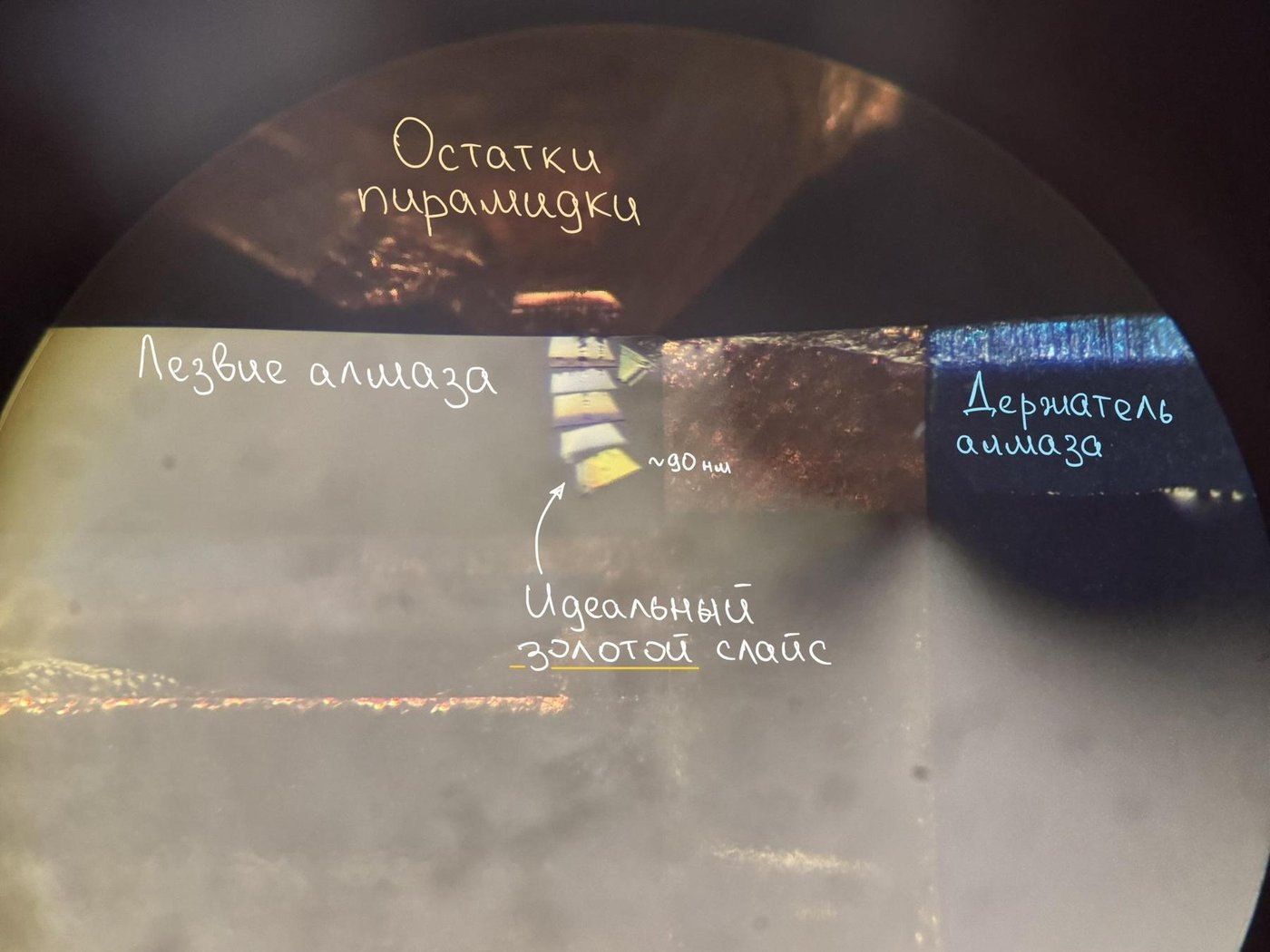 Сверху пирамидка, а снизу алмаз. Ну а эти плавающие слайсики — и есть экпоксидка с клетками!