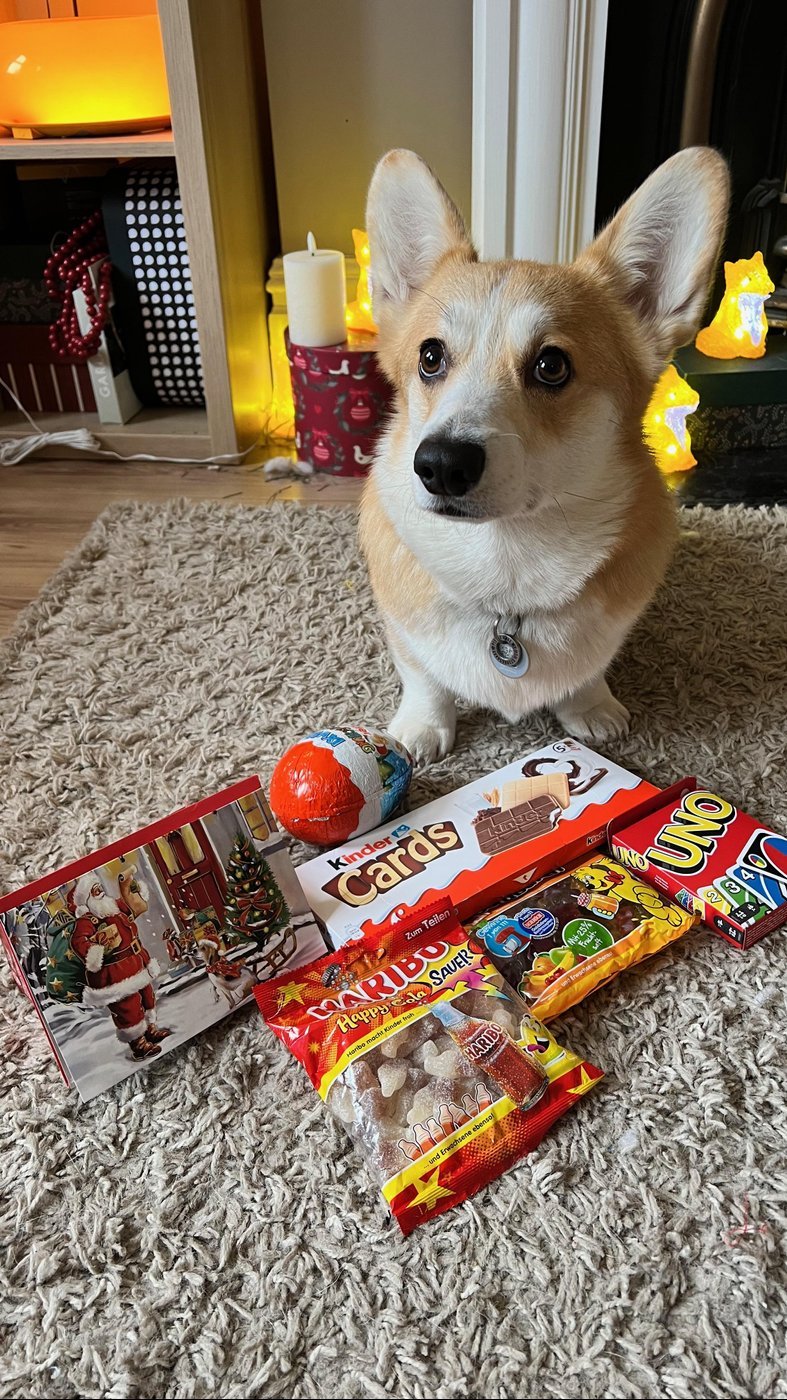 Подарок после проверки Булкой - все в целости и сохранности