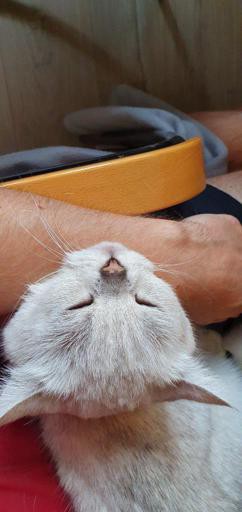 Аватар Ilya Lvov