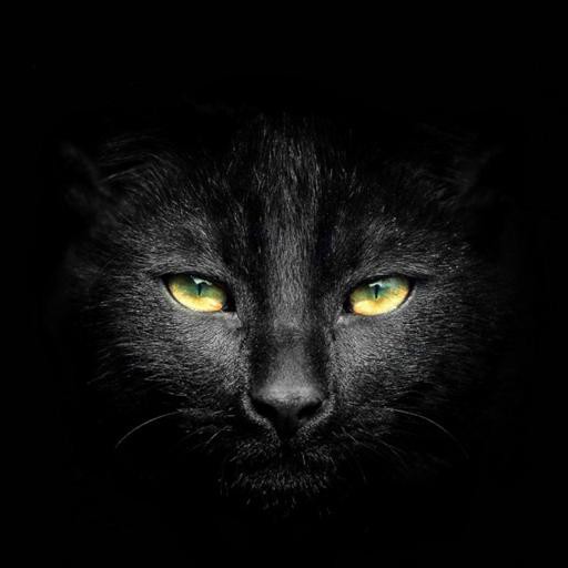 Аватар nickname