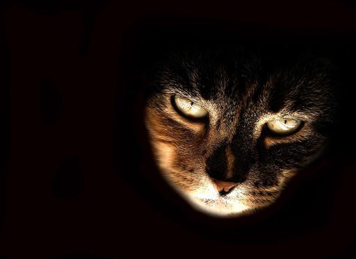 Аватар Редлих Дмитрий