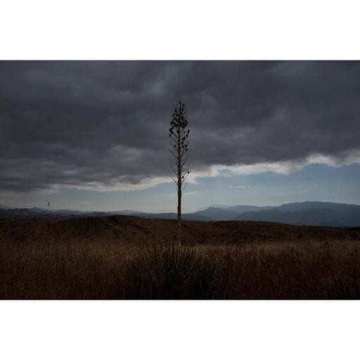 Аватар Nikolay Lukin