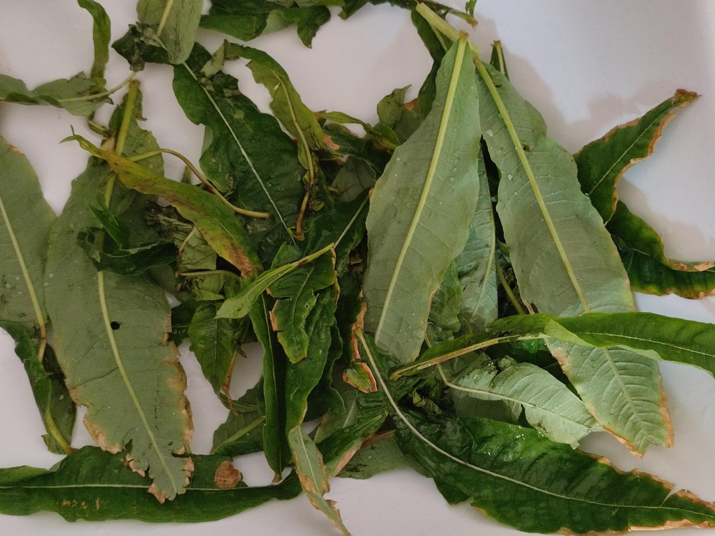 Попутно выбираем некондицию