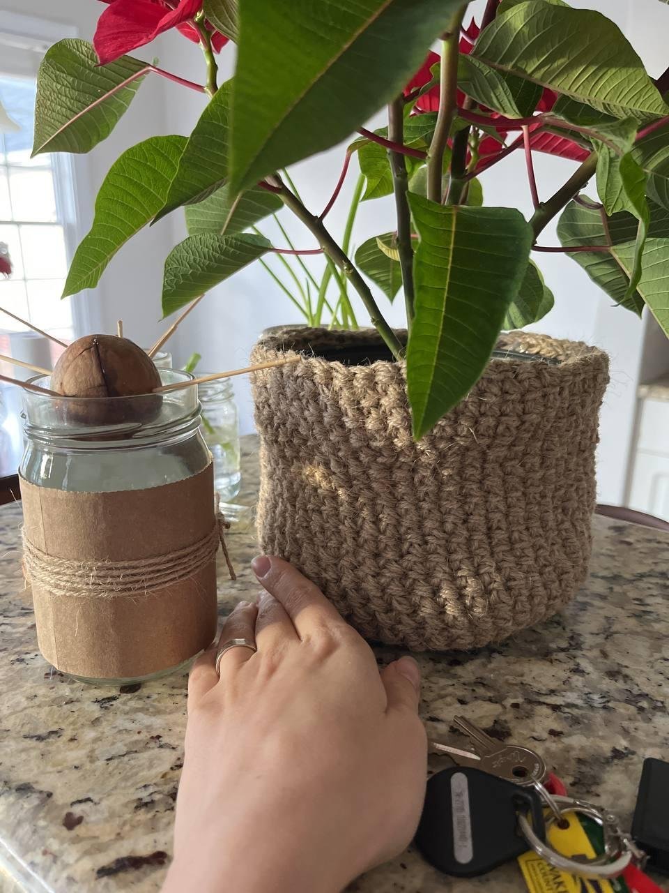 кашпо для цветка