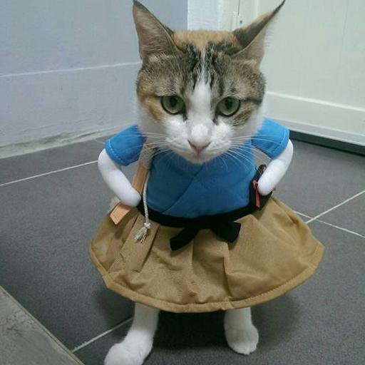 Аватар Елена Шурыгина