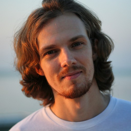 Аватар Dmitriy Laushkin