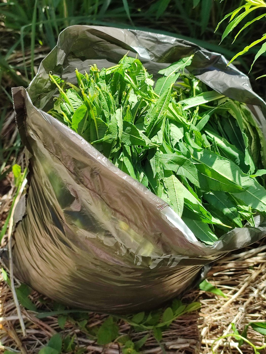 Кладем в пакет