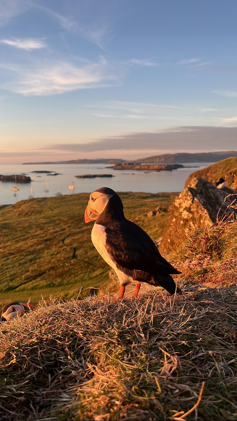 А вот и результат