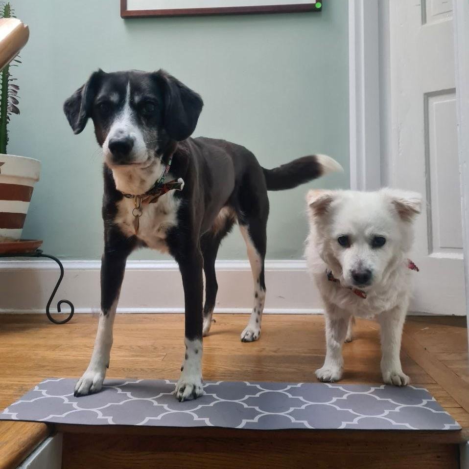 Какие они были клевые и сейчас такие наверное.