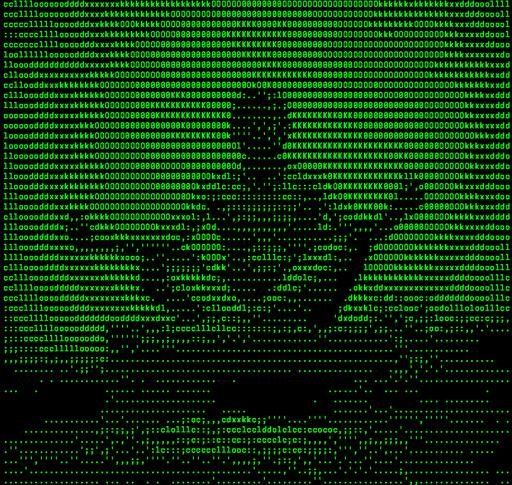 Аватар Kirill Zhgulev