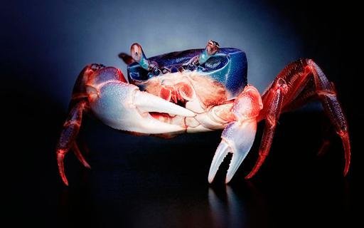 Аватар Александр Сидоров