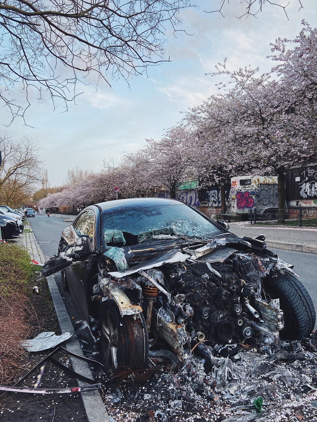 Весна в Берлине топ, сакуры цветут, красиво