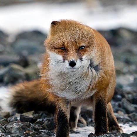 Аватар Влад