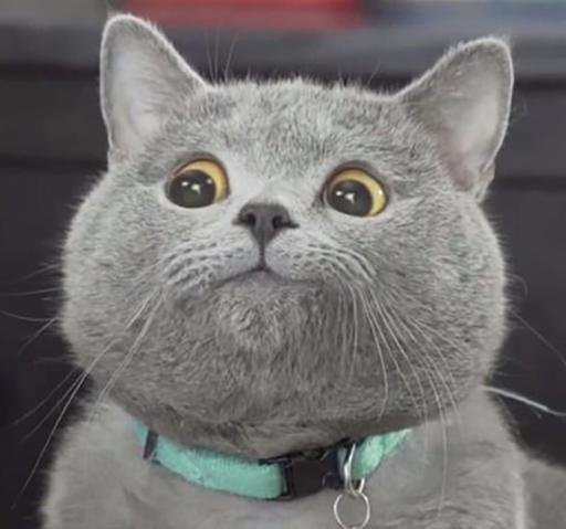 Аватар Егор Ненашев