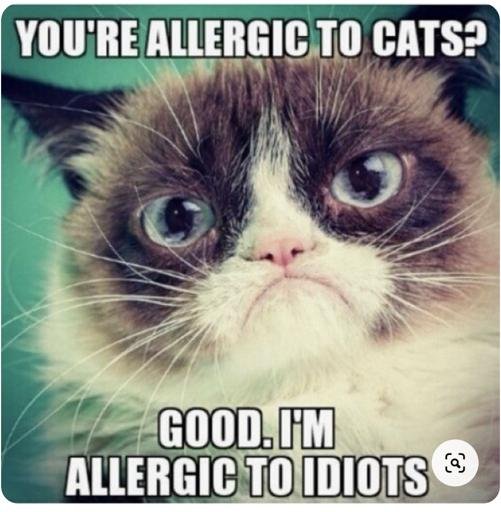 Аватар Natalia Sergeeva