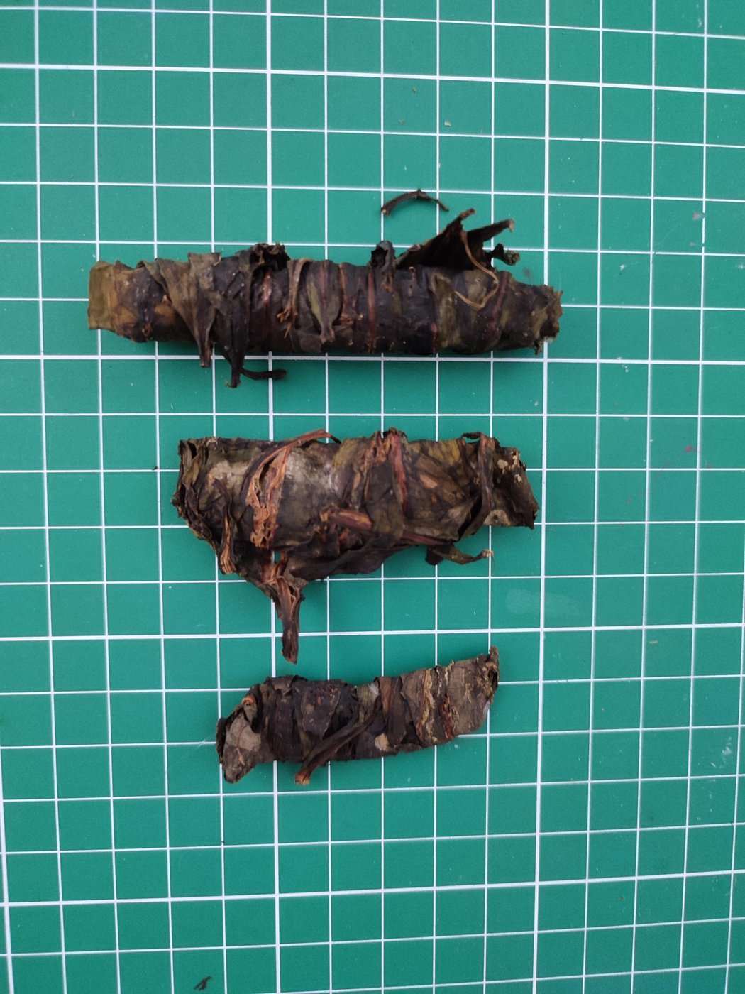 Свертки досохли и теперь выглядят так