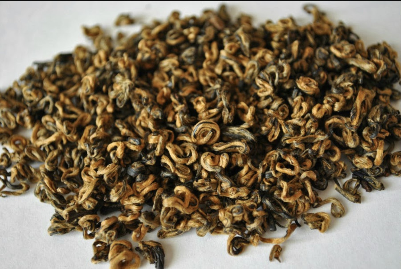 Красивейший Диан Хонг с золотистыми почками