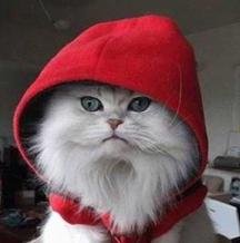 Аватар Andrew Druchenko