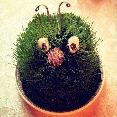 Аватар Veniamin Krol