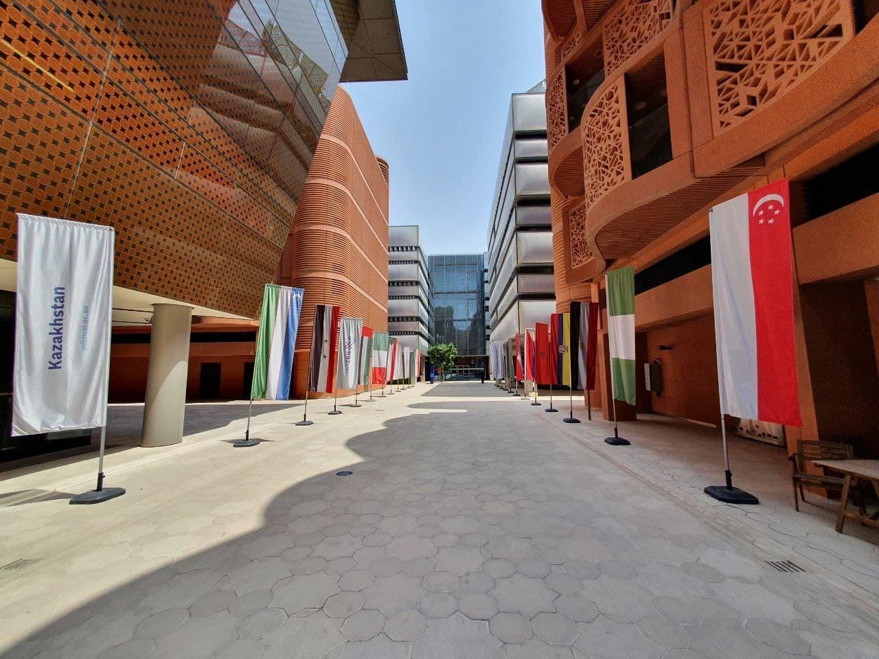 Центральная аллея перед университетом