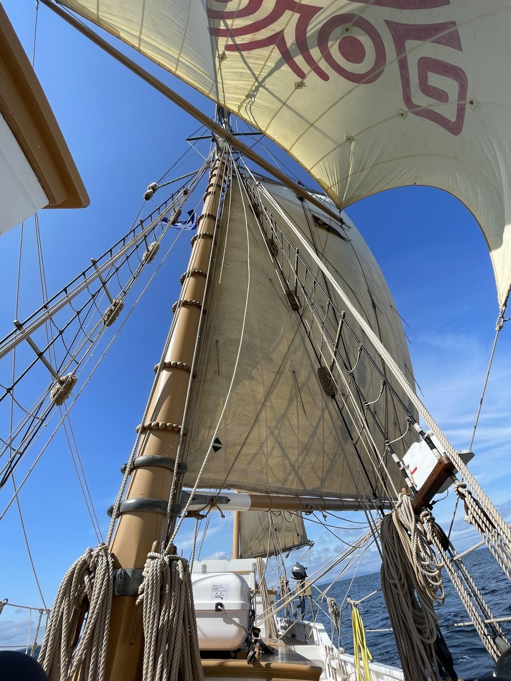 Когда столько парусов, что тяжело взять все в один кадр