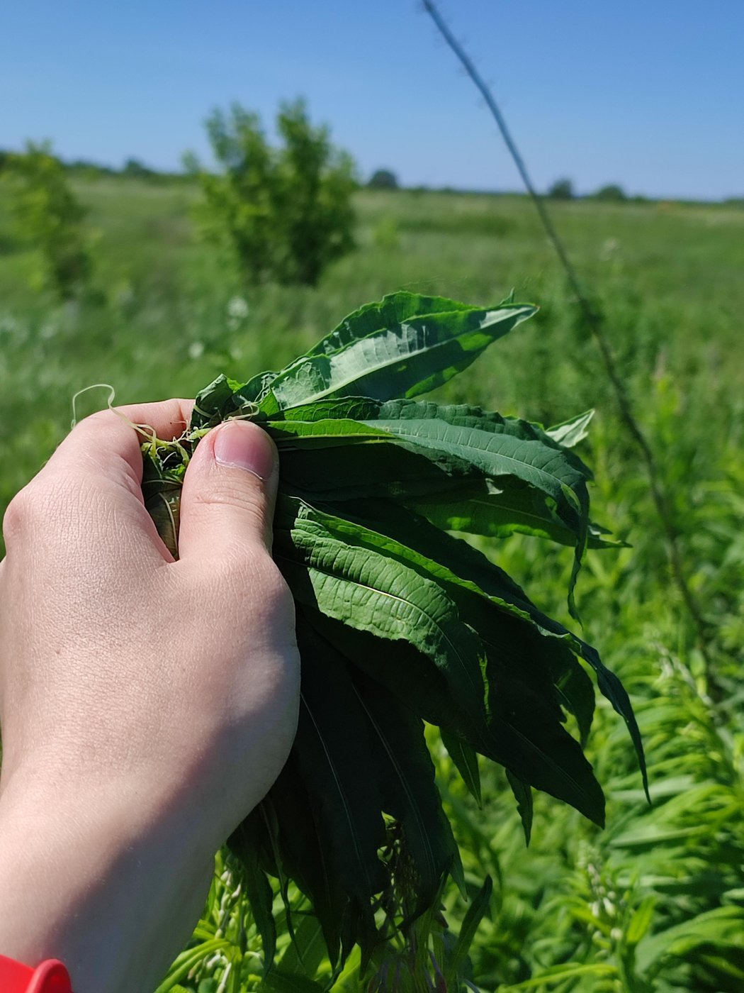 Оцениваем результат, выбираем мусор