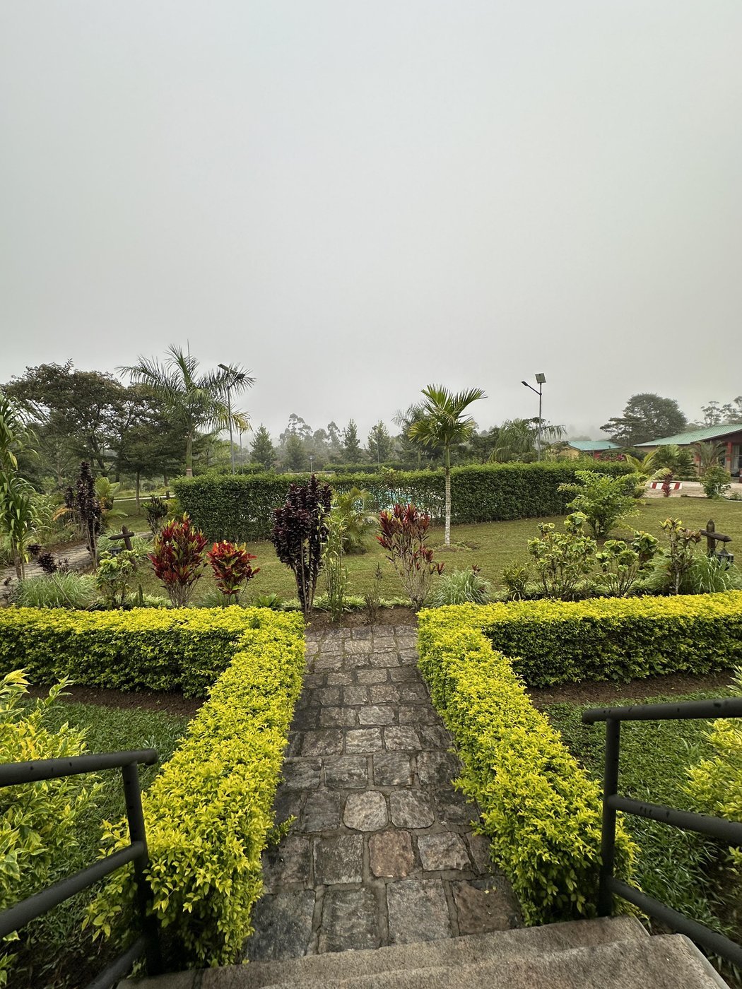 Вид из номера