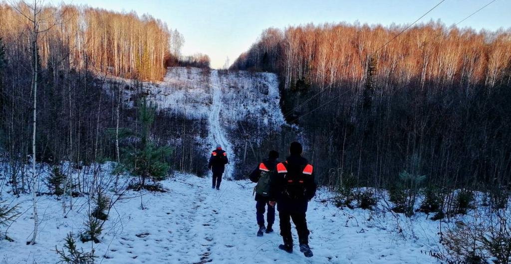 Часто в лесу добровольцы и профессиональные спасатели работают совместно, в процессе делегируя друг другу разные виды ответственности.