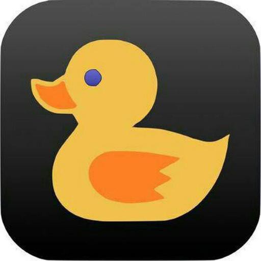 Аватар yung functor