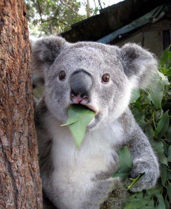 внезапный поворот