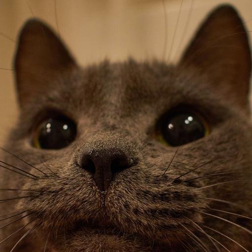 Аватар Александр Чупиков