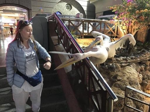 Аватар Maria Shipkova