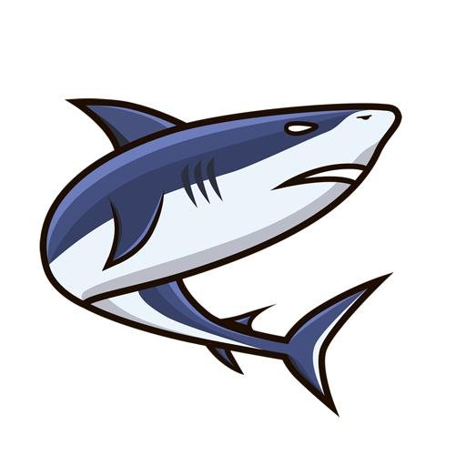 Аватар Kirill Gorin