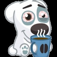 Аватар Daniil Levashov