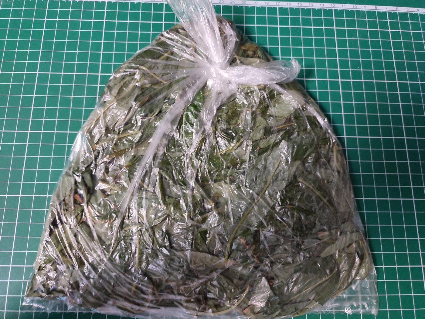 Кладем в пакет наши дряблые листики