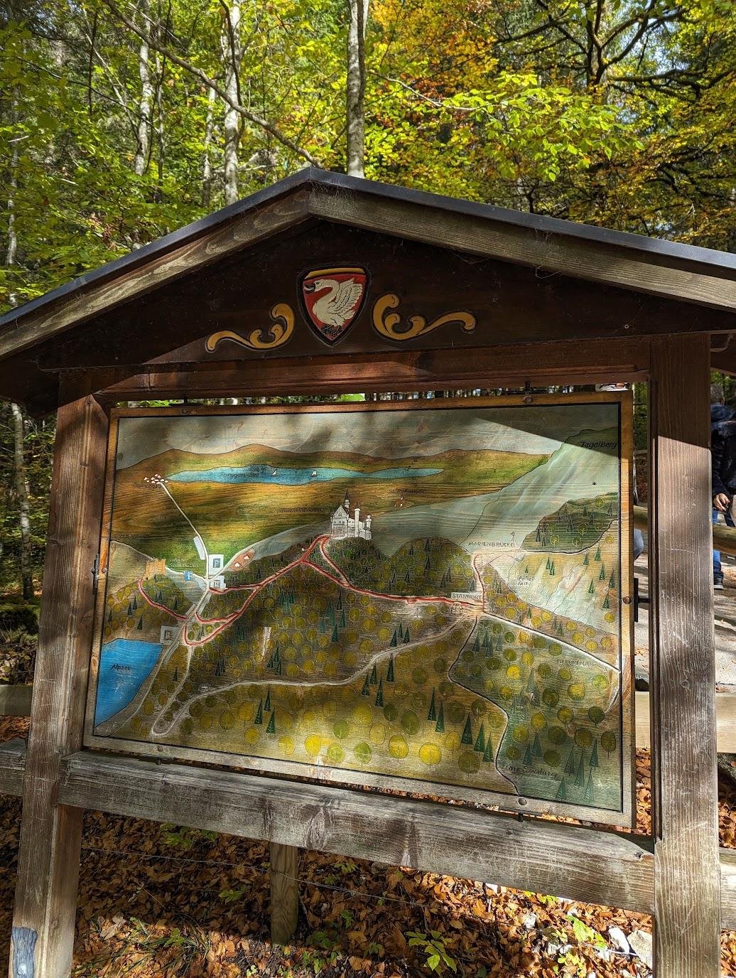 В лесу не потеряетесь