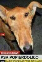 Аватар Артем Михайлов